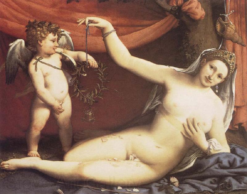 Lorenzo Lotto Venus and Cupid Norge oil painting art